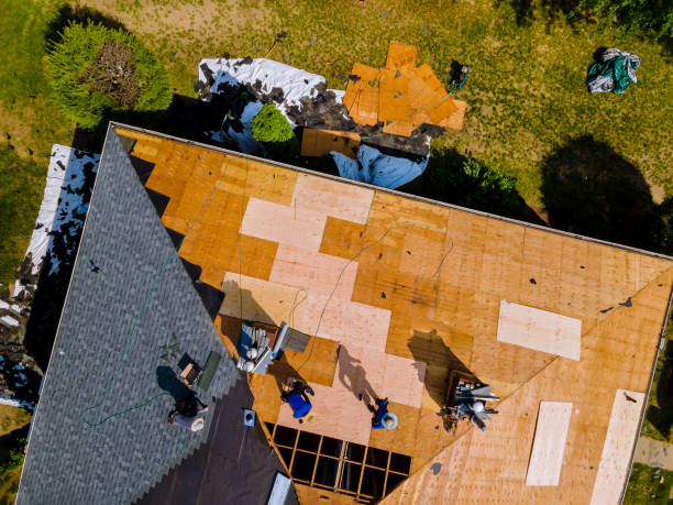 Best Roof Inspection Near Me  in Cut Off, LA