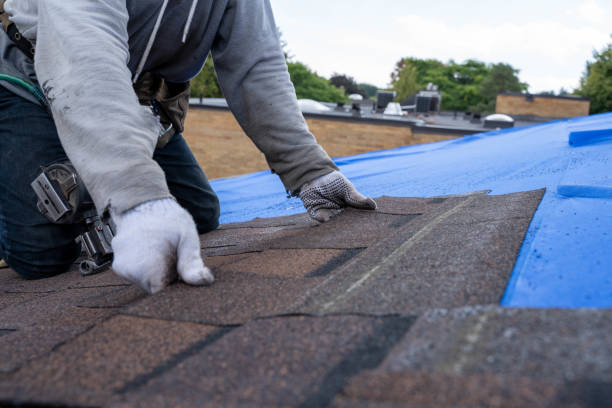 Best Flat Roof Repair Services  in Cut Off, LA