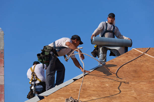 Best Roof Leak Repair  in Cut Off, LA